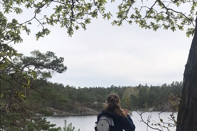 Wolf and Wildlife Tracking in Sweden - The 6 km walk: reading footprints, kills, and droppings
