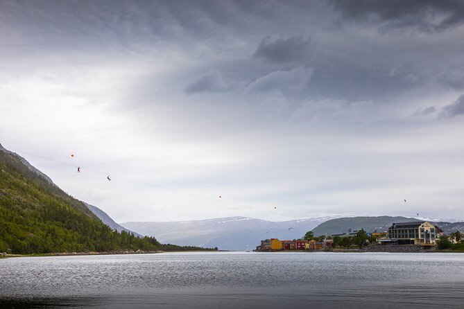 Zipline Experience in Mosjøen - How much value do you get for $83.94?